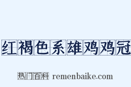 红褐色系雄鸡鸡冠是什么意思的图片